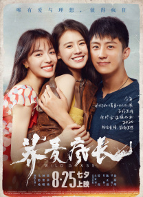 手机在线观看